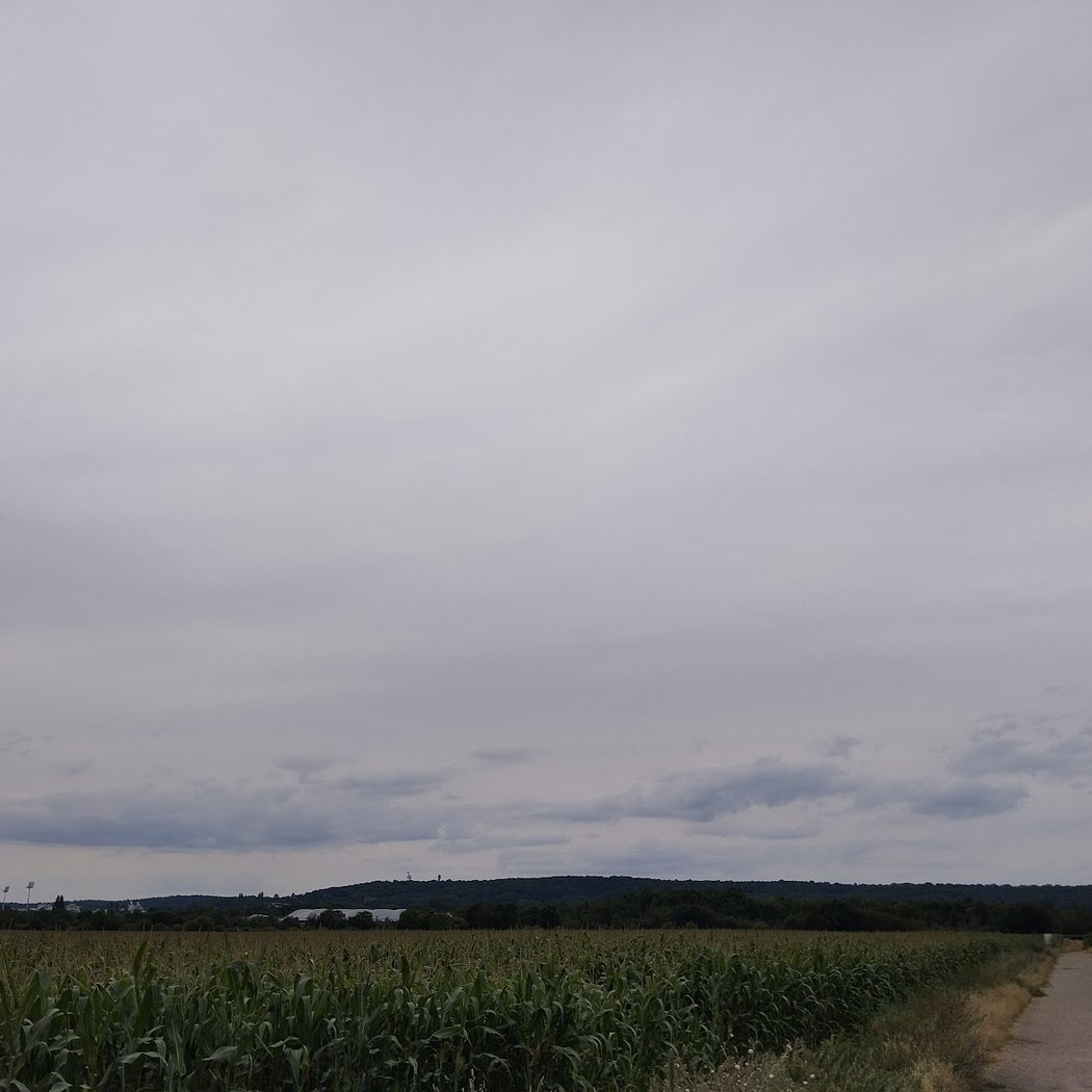 La coulée verte 2